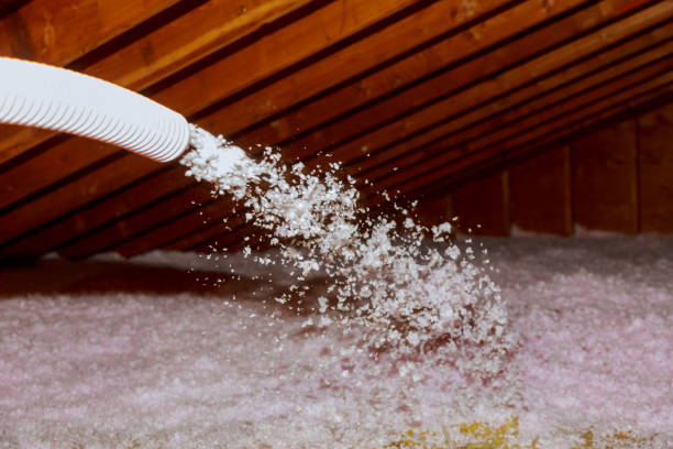 Insulation for Commercial Buildings in Fallon, NV