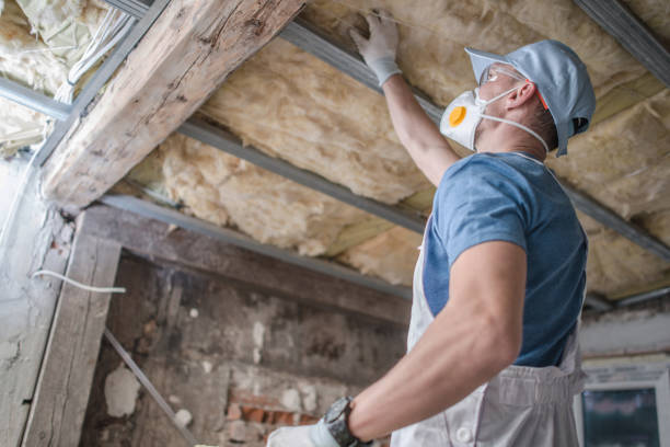 Best Attic Insulation Installation  in Fallon, NV